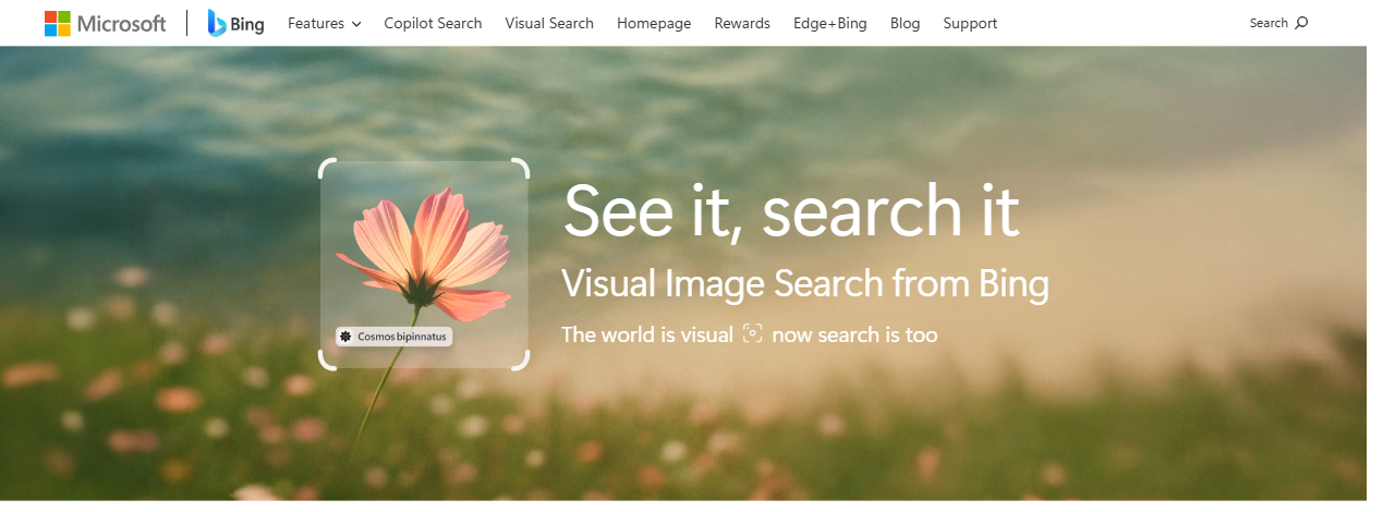 bing visual search page at bing.com/visualsearch